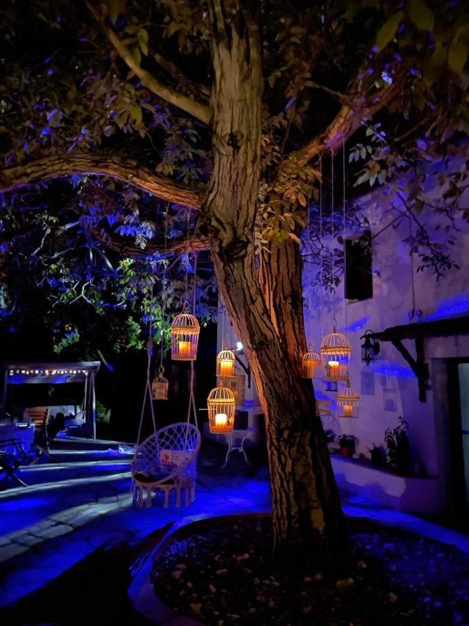 Villa Olive Áno Lekhónia Zewnętrze zdjęcie