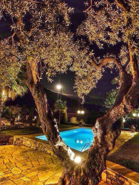 Villa Olive Áno Lekhónia Pokój zdjęcie